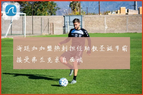海廷加加盟热刺担任助教圣诞节前接受弗兰克亲自面试